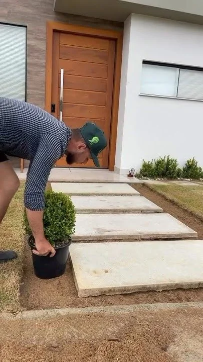 صيانة والعناية بالأعشاب